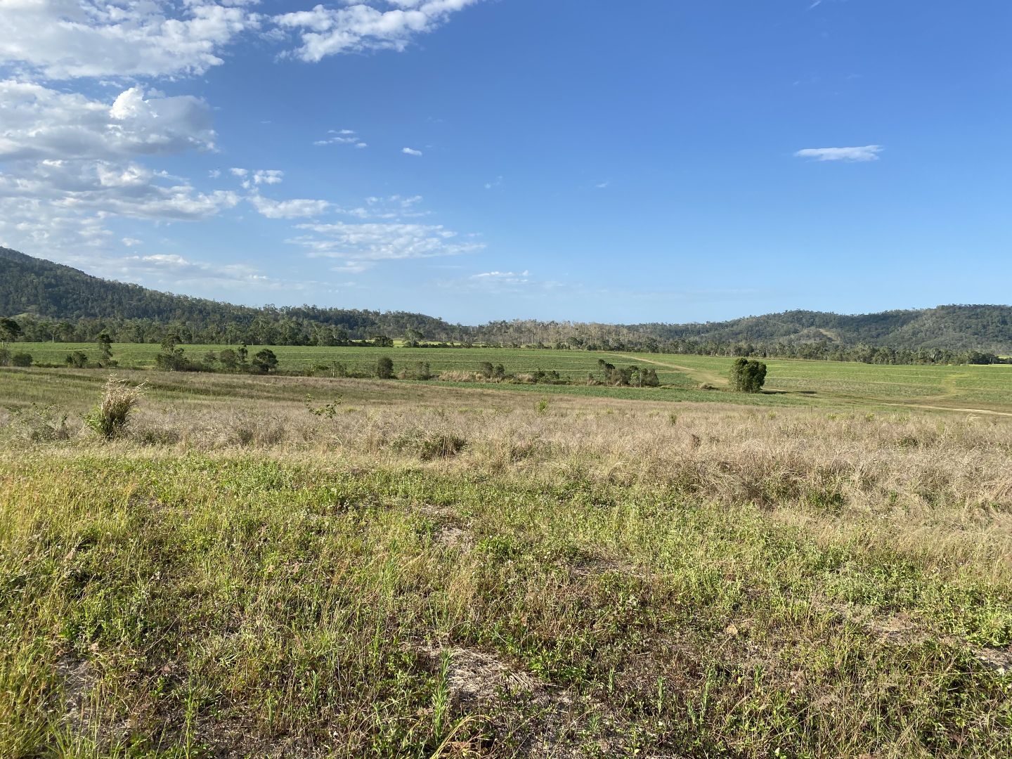 Lot 21 241 Wintons Road, Yalboroo QLD 4741, Image 2