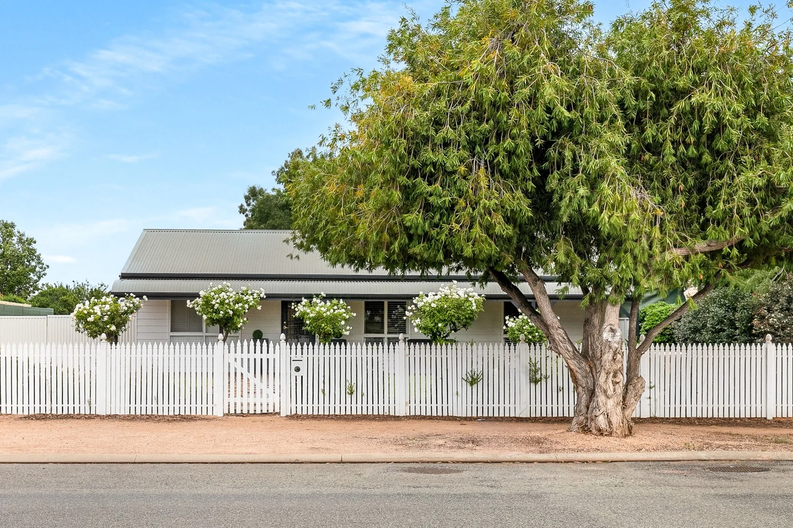 Primary image of 35 Twentyfirst Street, Renmark SA 5341