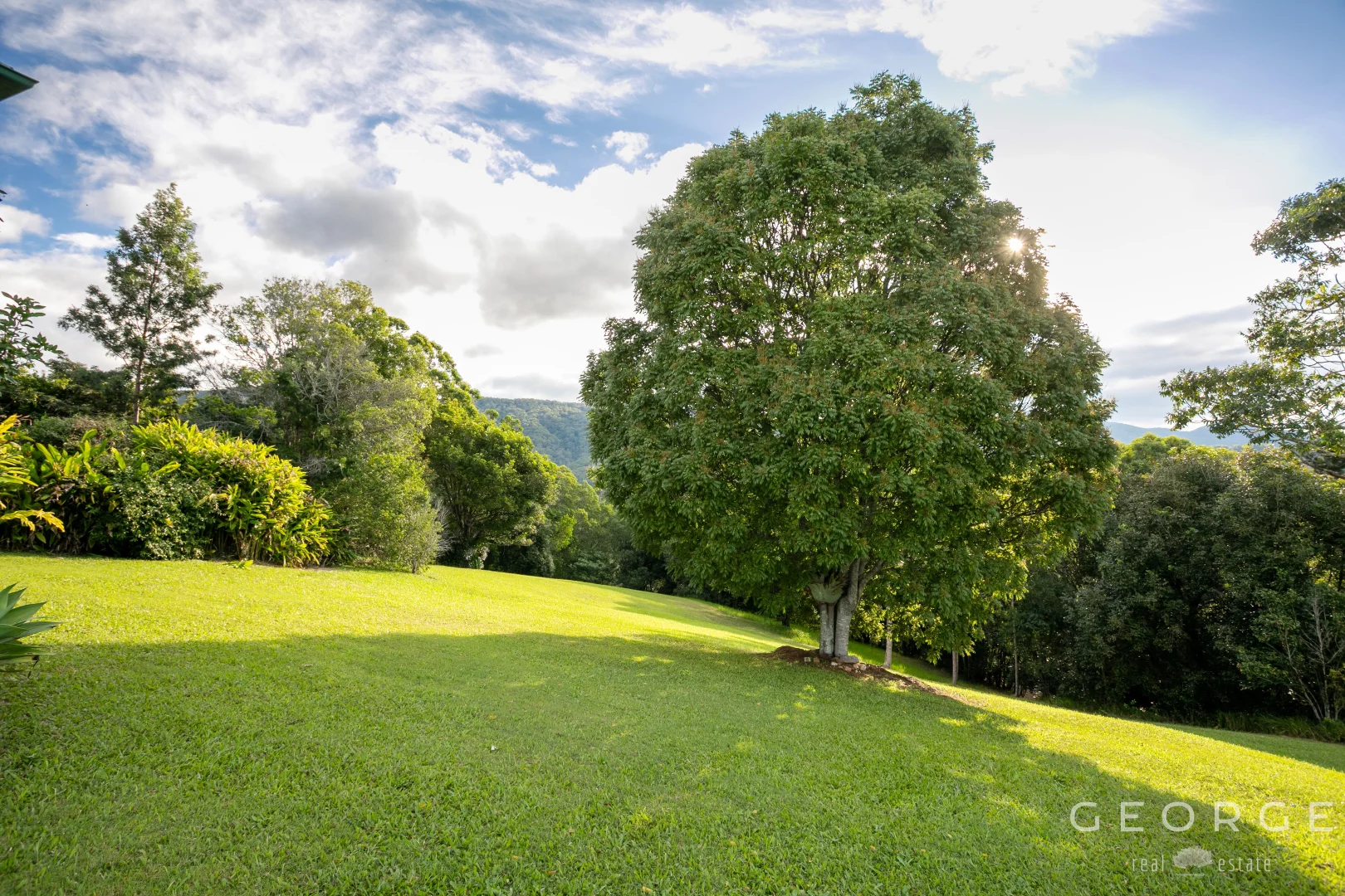 Image 25