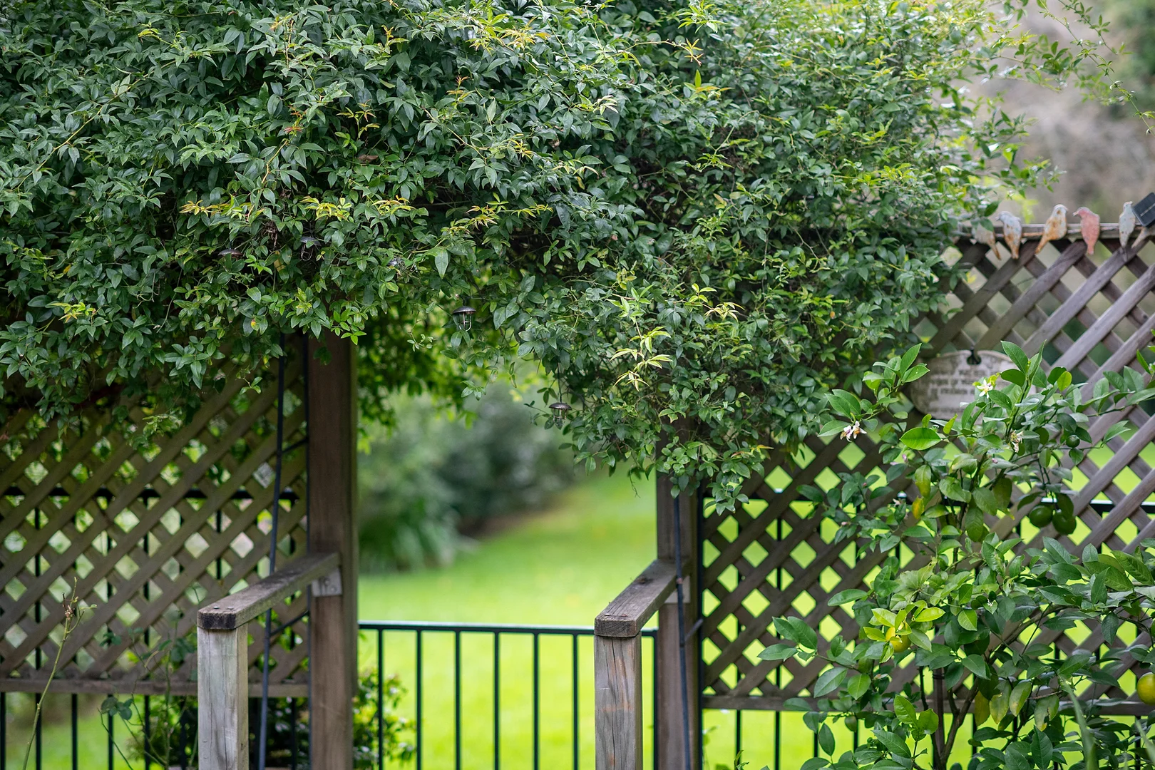 Additional image 15 of 522 Moss Vale Road, Burradoo NSW 2576