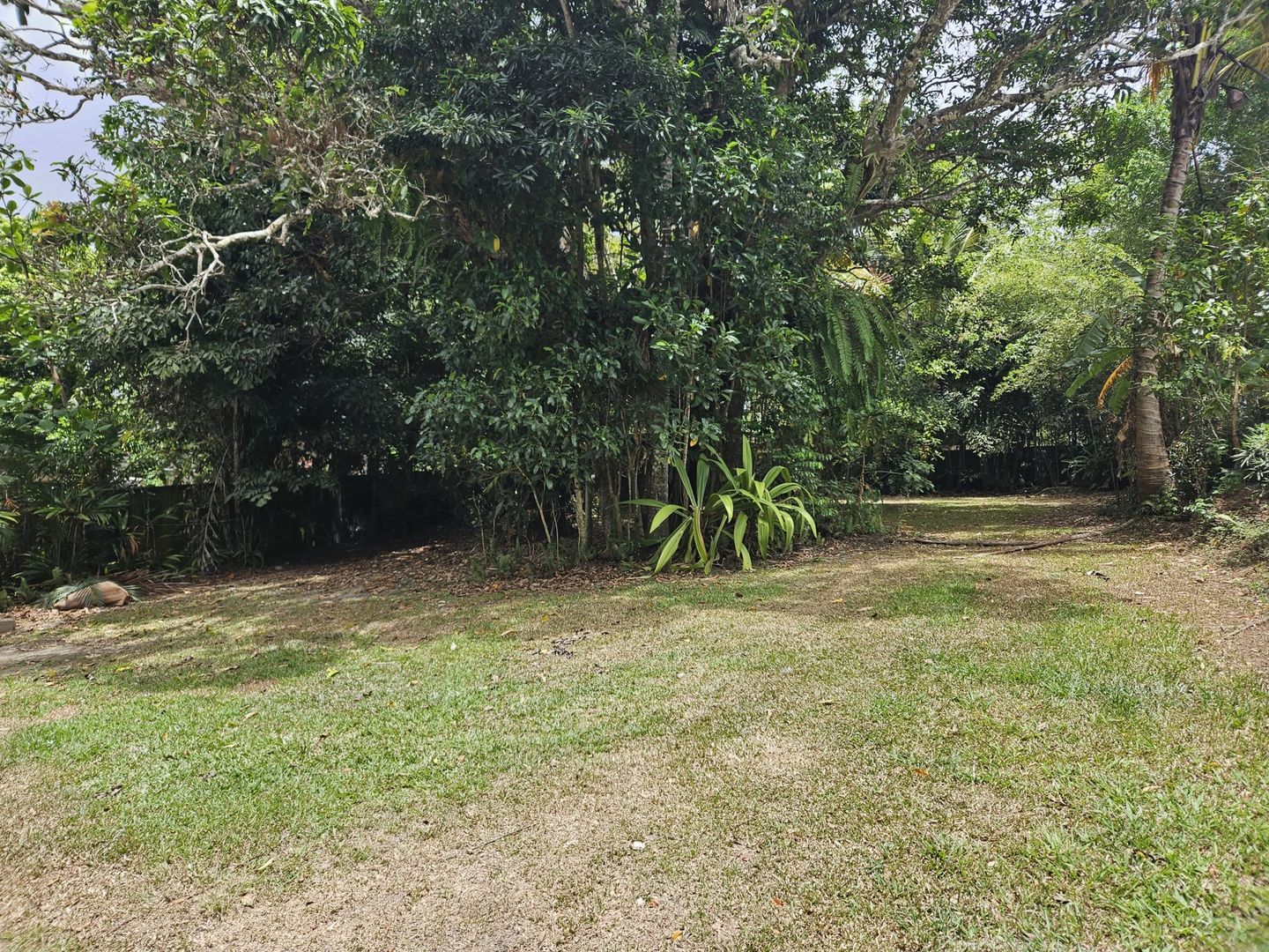 5 Meeroo Street, Kuranda QLD 4881 House For Rent Domain