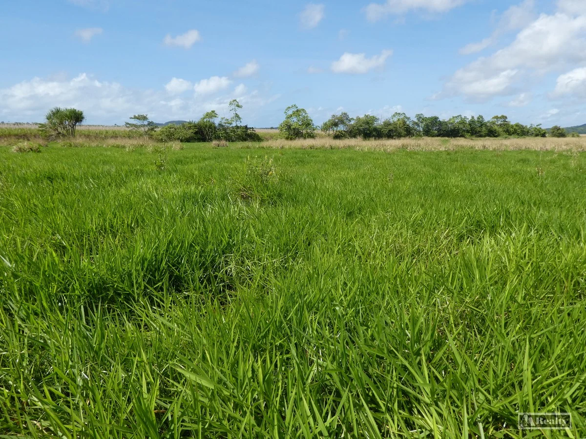 Cowley QLD 4871 photo 2