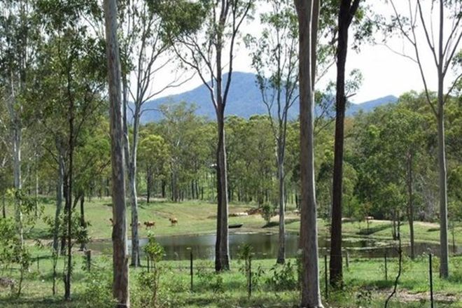 Picture of 343 Dude Ranch Road, IVERAGH QLD 4680