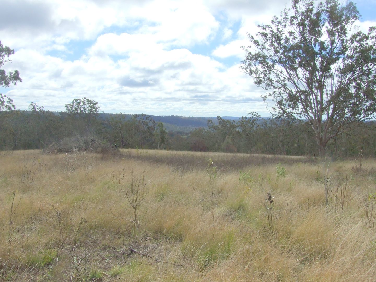 L235 Coalbank Boundary Road, Haden QLD 4353, Image 2