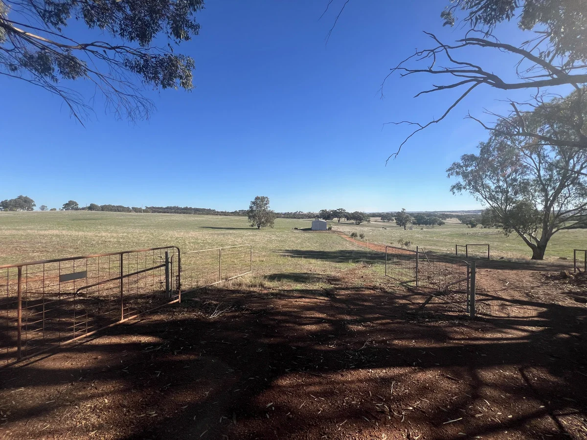 Image 15