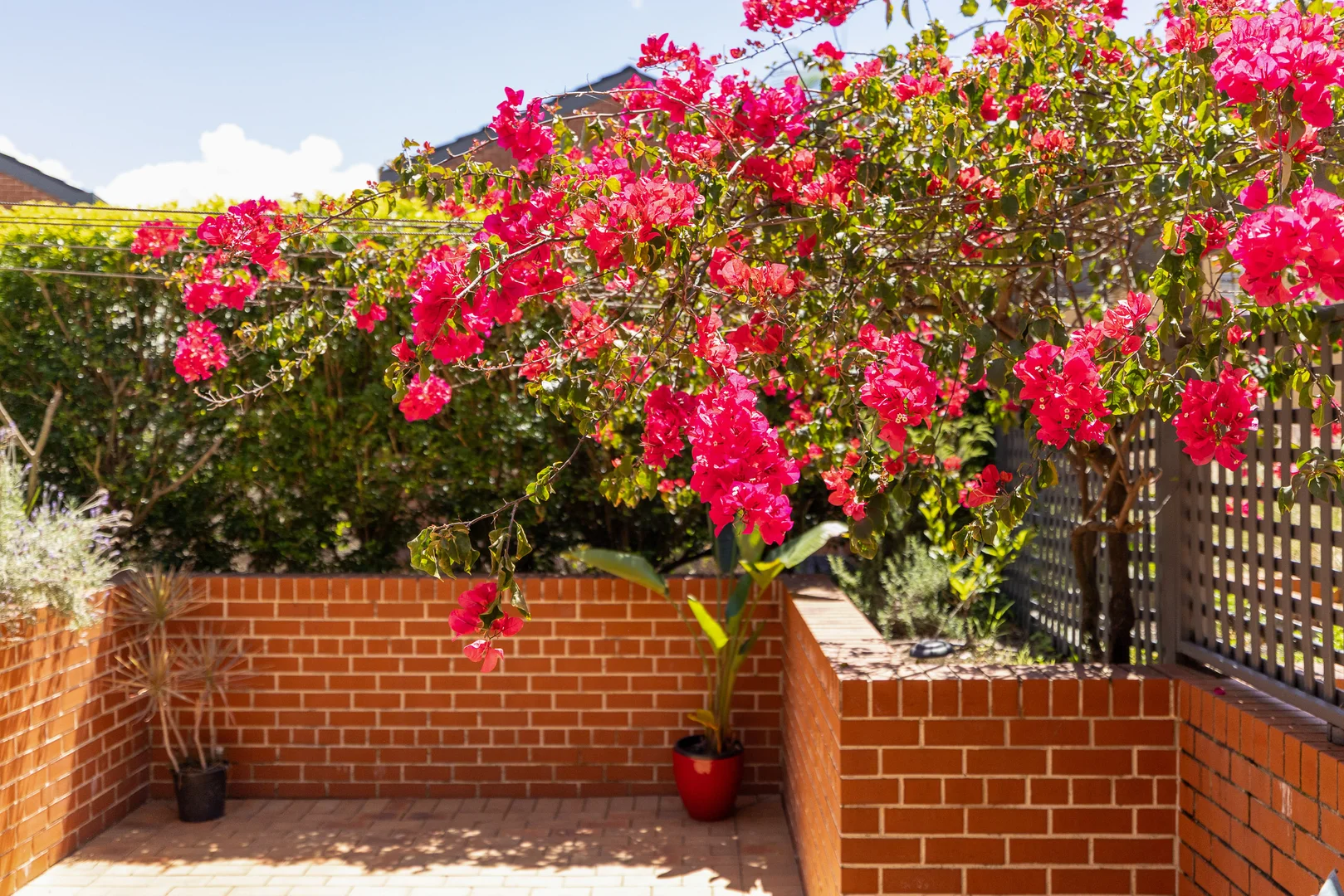 79/8 Water Street, Birchgrove NSW 2041 - Townhouse For Rent | Domain