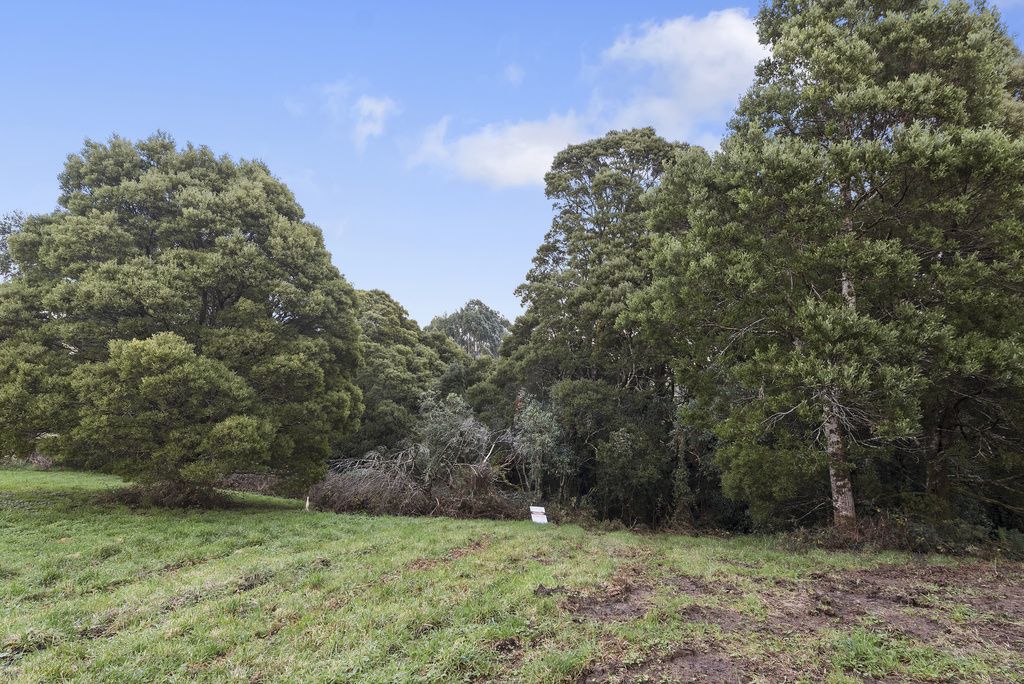 18 Dehnerts Track, Beech Forest VIC 3237, Image 2