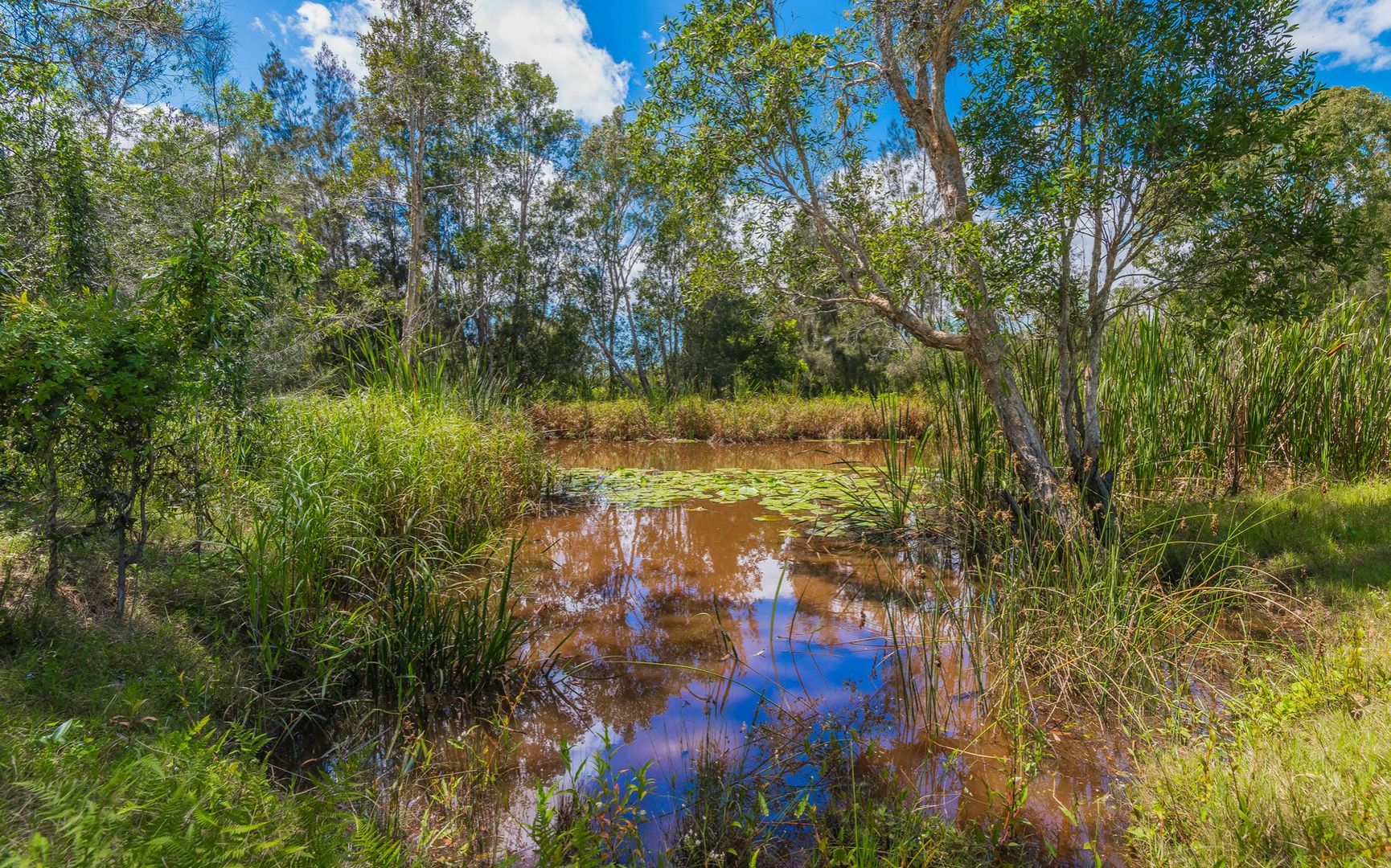 Lot 1 Byrons Lane, Tyndale NSW 2460, Image 2