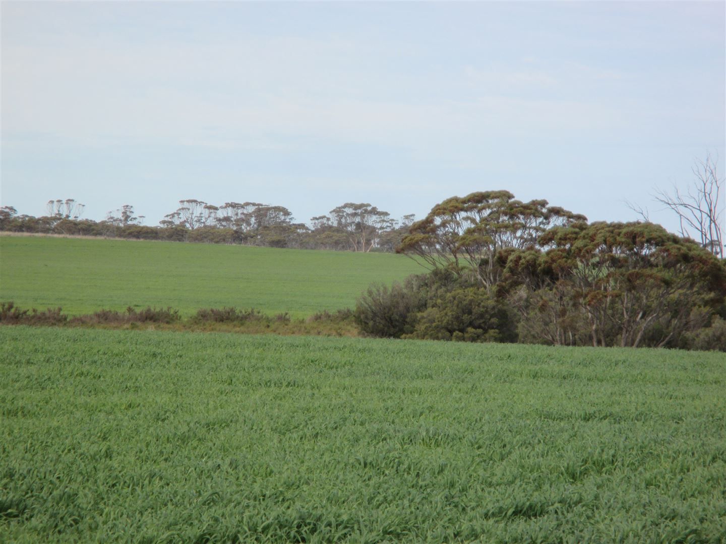 ' Lakeside', Lake Camm WA 6355, Image 1