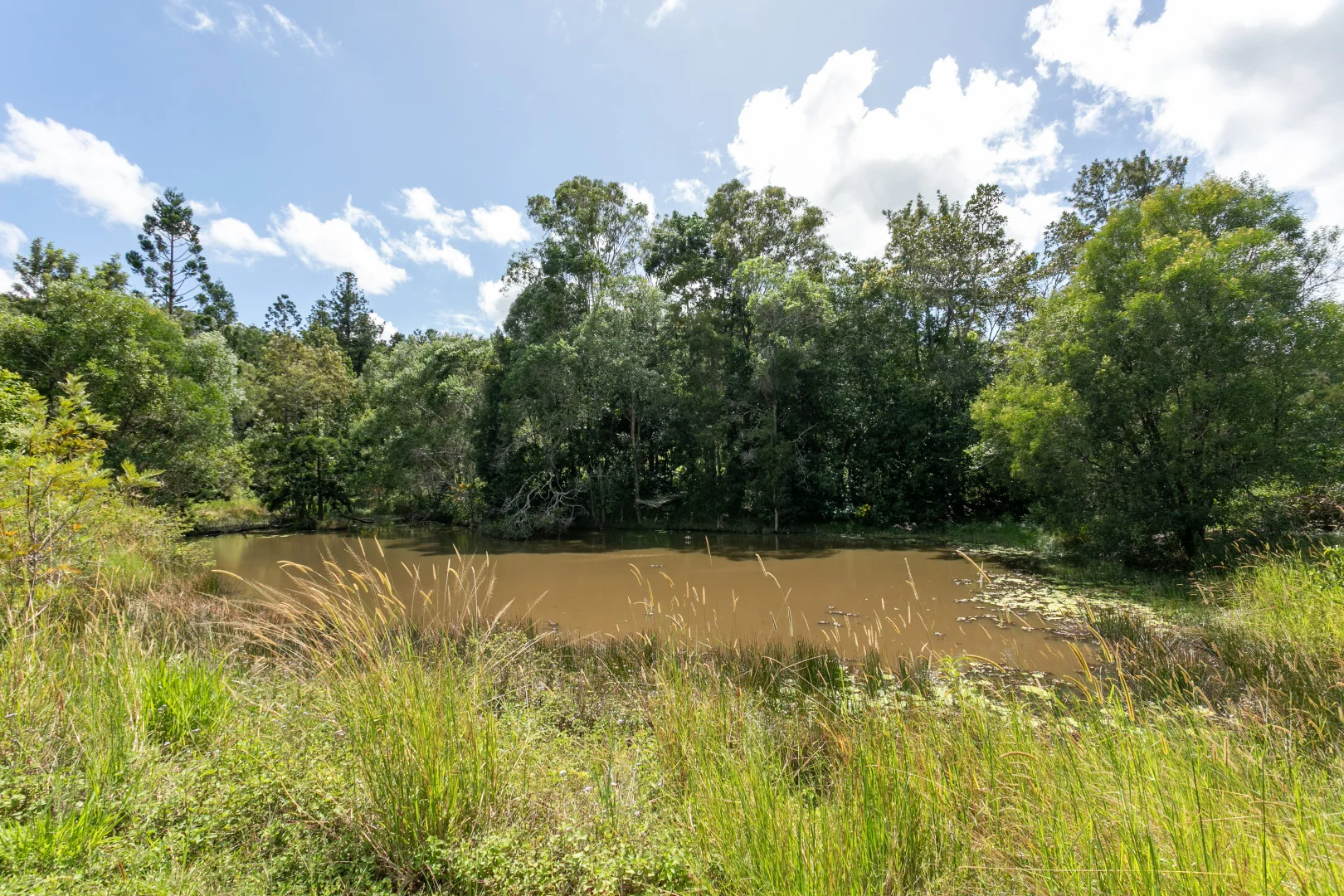 Additional image 31 of 25 Donnellys Road, Ridgewood QLD 4563