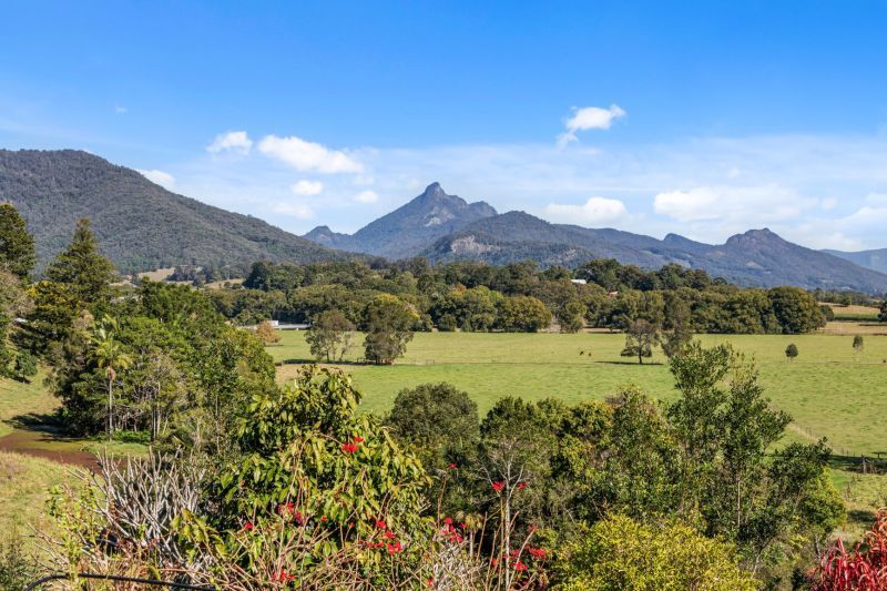 11 Mistral Road, South Murwillumbah NSW 2484, Image 1