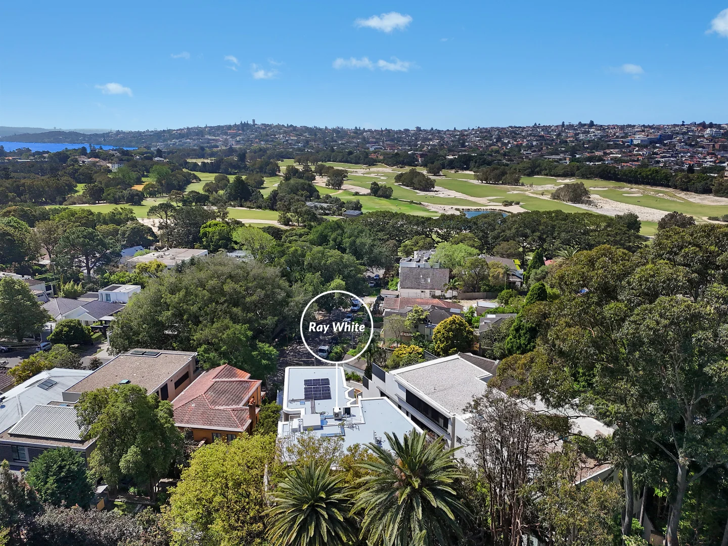 Additional image 12 of 6/14 Boronia Road, Bellevue Hill NSW 2023