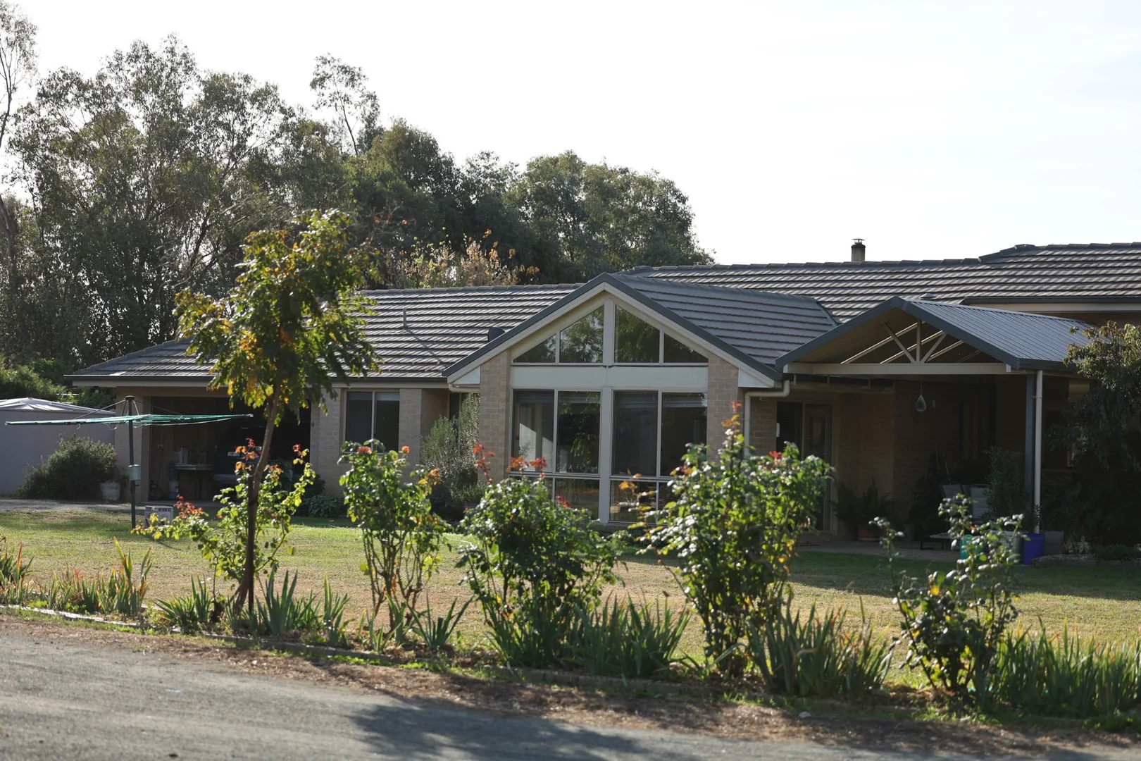 Image 14
