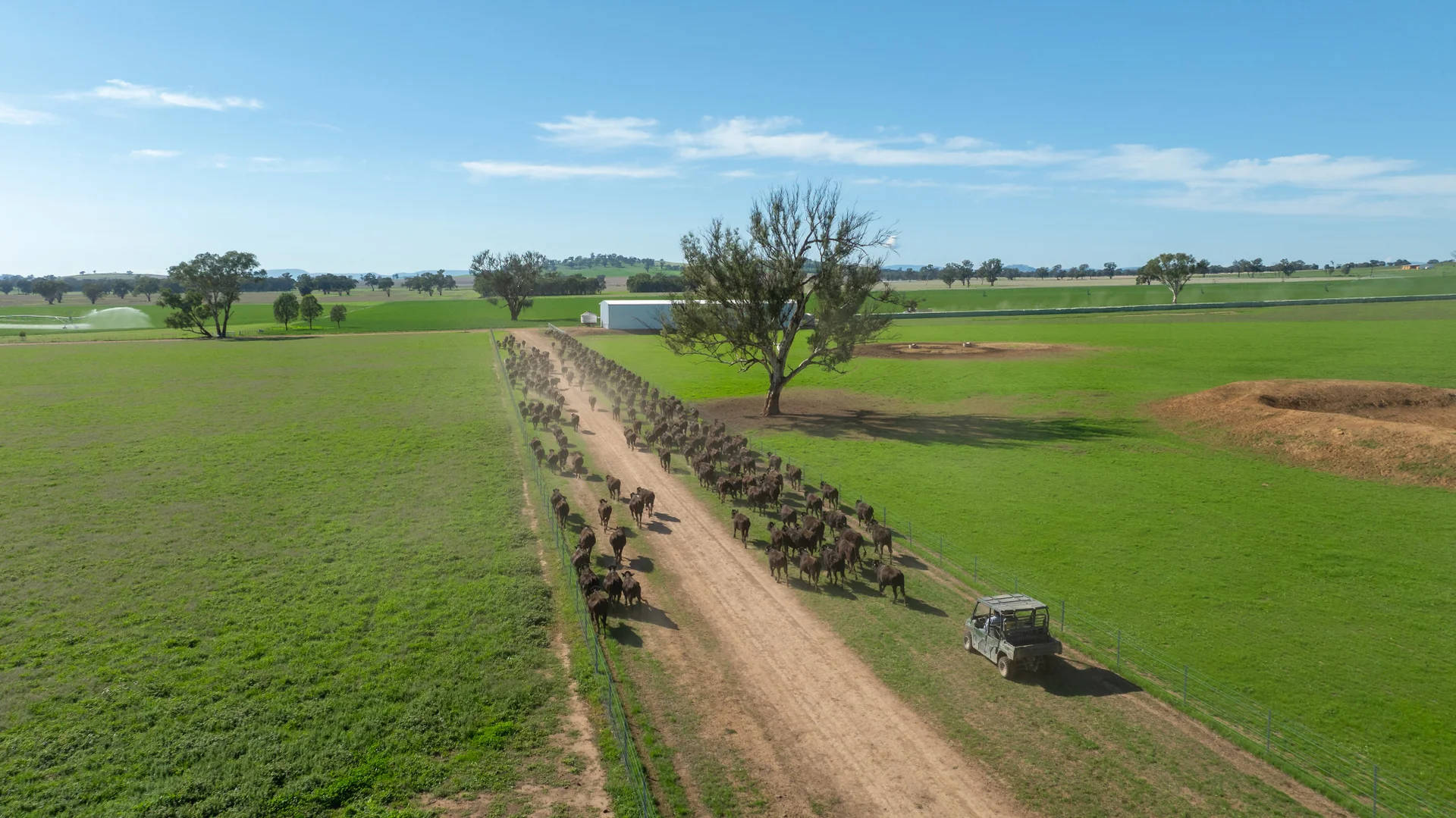 Additional image 29 of 1948 Coach Road, Morven NSW 2660