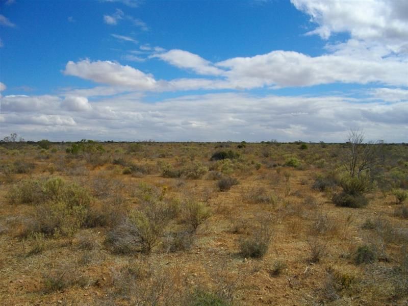 Lot 195 Sunnydale Road, Big Bend SA 5238, Image 1