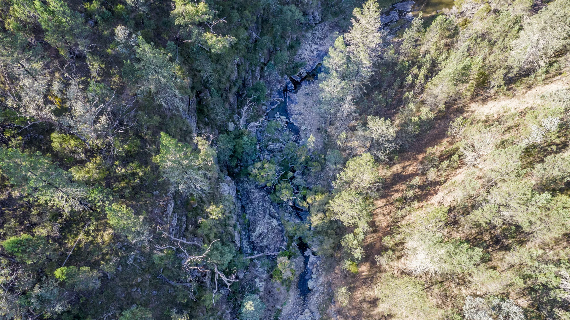 Additional image 14 of 4970 Bruxner Way, Tenterfield NSW 2372