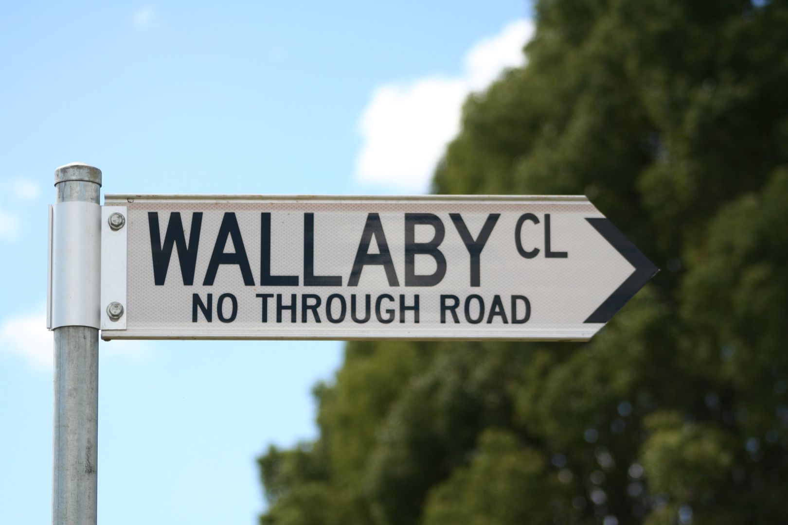 3 Wallaby Close, Ewingsdale NSW 2481, Image 2