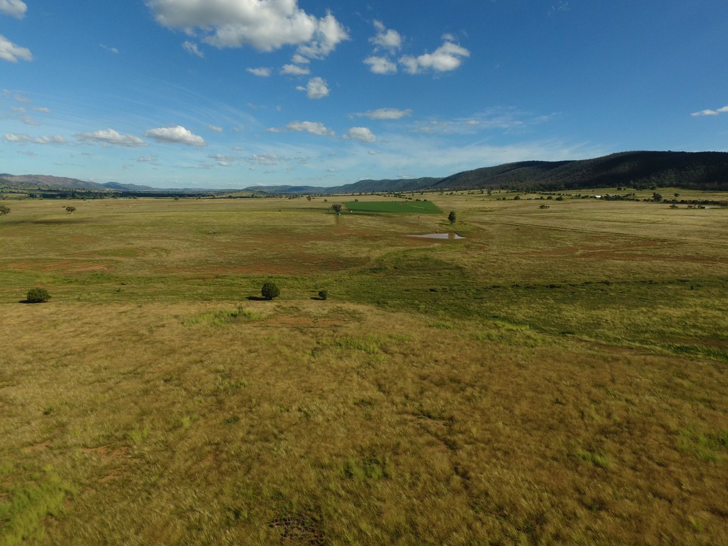 Lot 144 Cobbadah Road, Bingara NSW 2404, Image 1