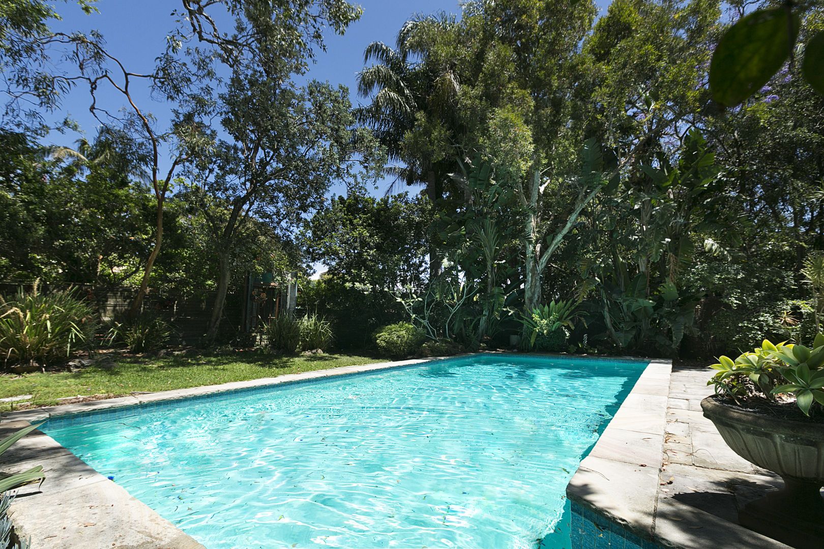 34 Coolong Road, Vaucluse NSW 2030, Image 1