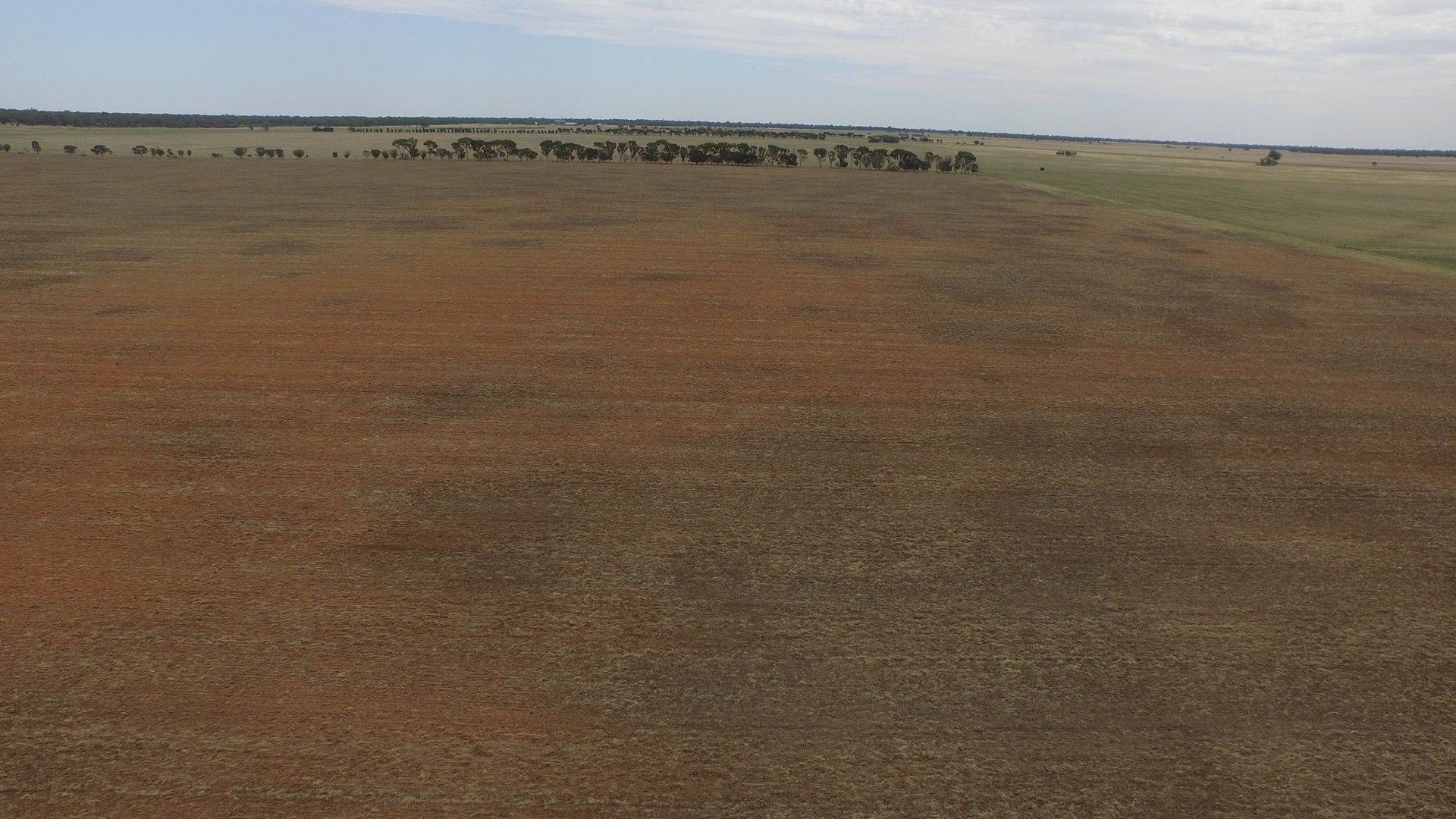 Narrandera NSW 2700, Image 0