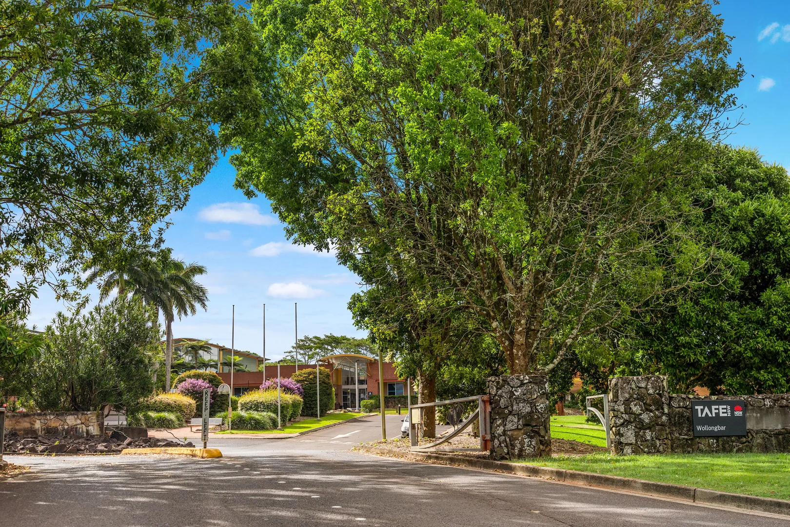 Image 29