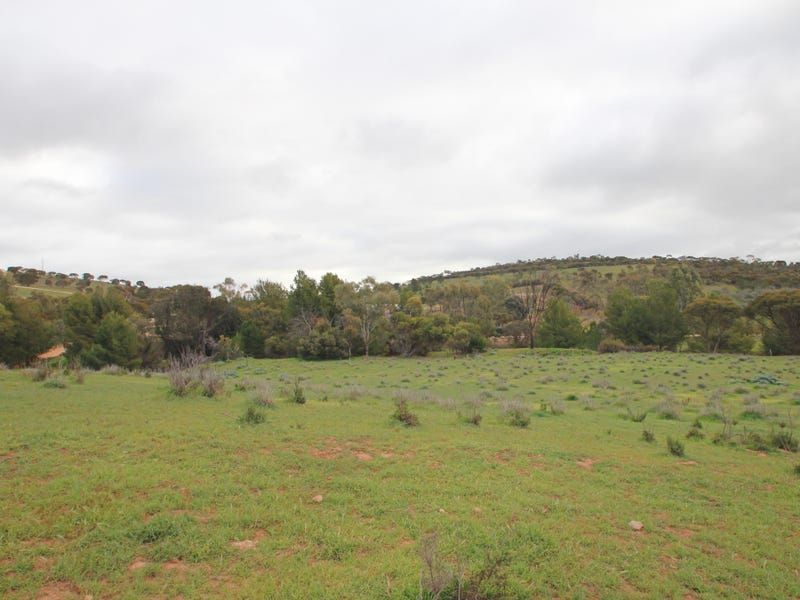 Lot 5 Peacock Street, Burra SA 5417, Image 1