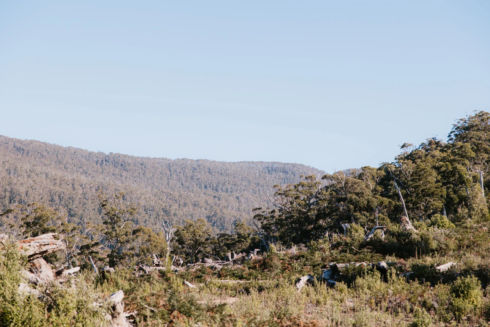 Additional image 9 of PID 6753927 Hop Valley Road, Blackwood Creek TAS 7301