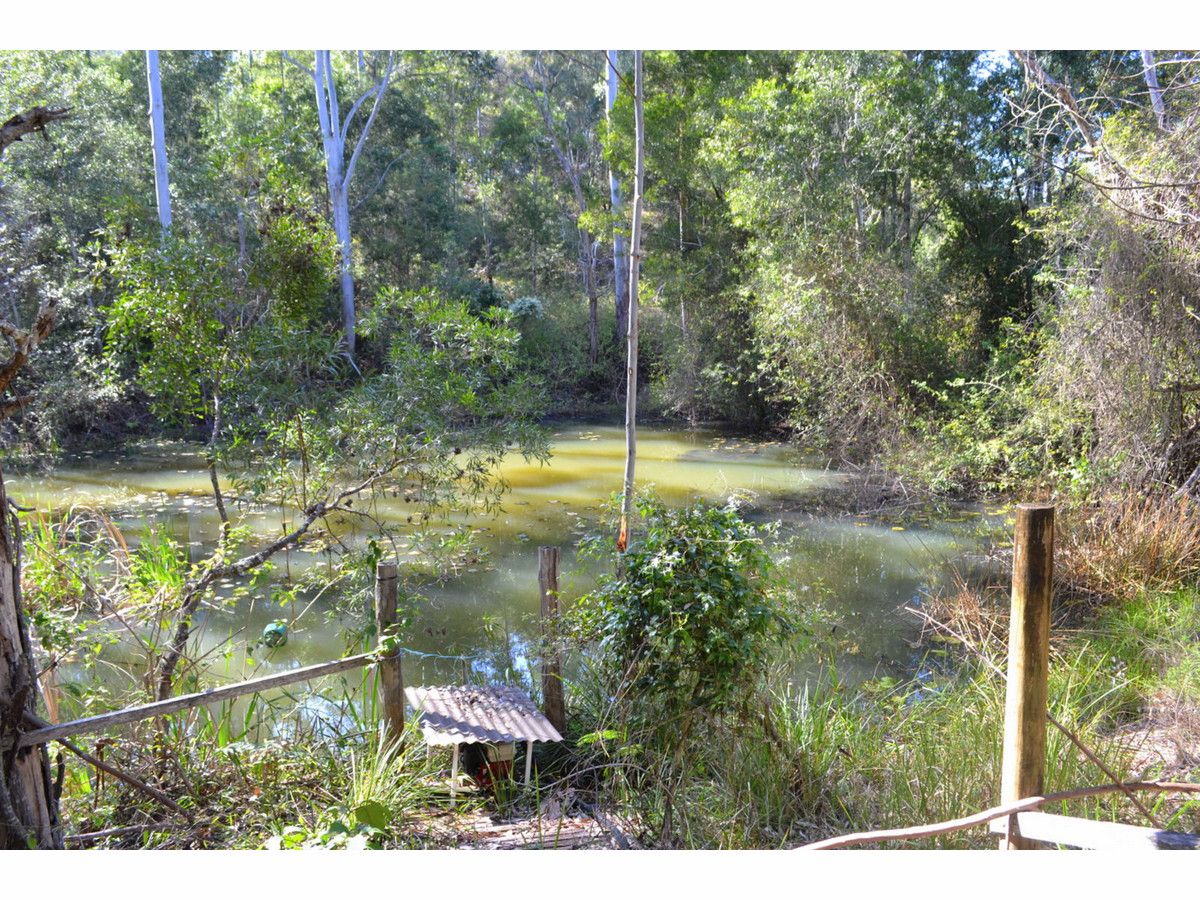 442 Bellangry Road, Mortons Creek NSW 2446, Image 1