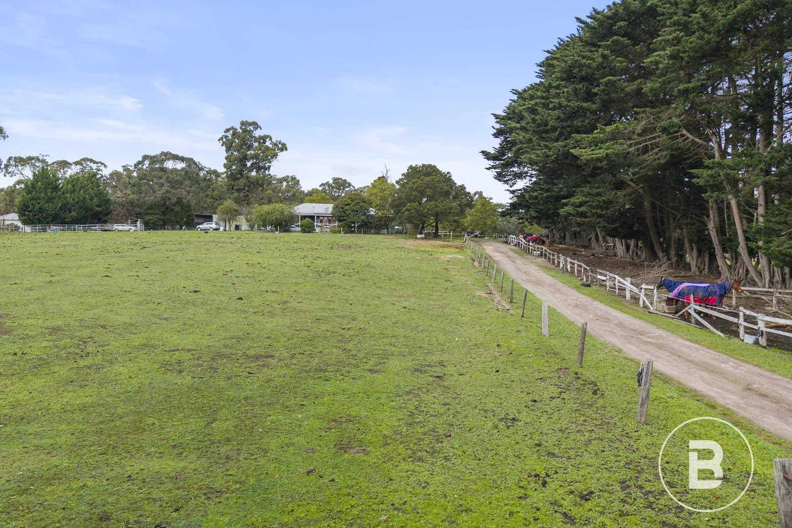 Image 14
