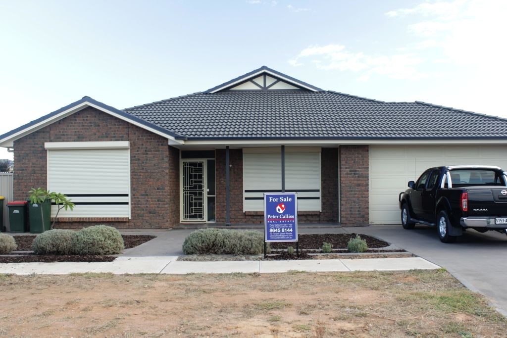 6 Risby Avenue, Whyalla Jenkins SA 5609
