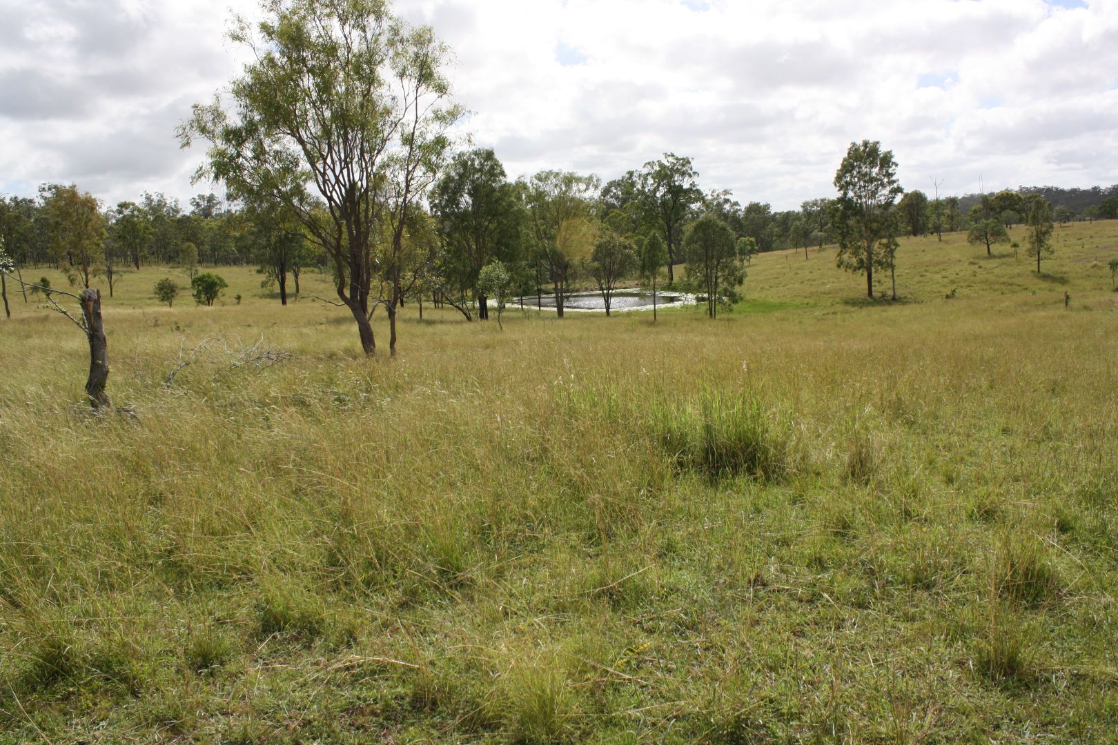 "Reece Park" 110 Greentree Lane, Mundubbera QLD 4626, Image 2