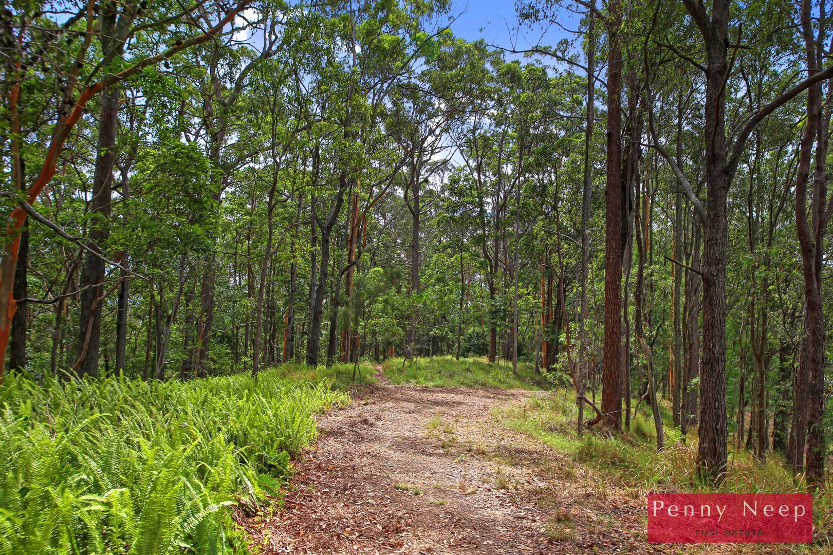 39 Pacific View Drive, Tinbeerwah QLD 4563, Image 1