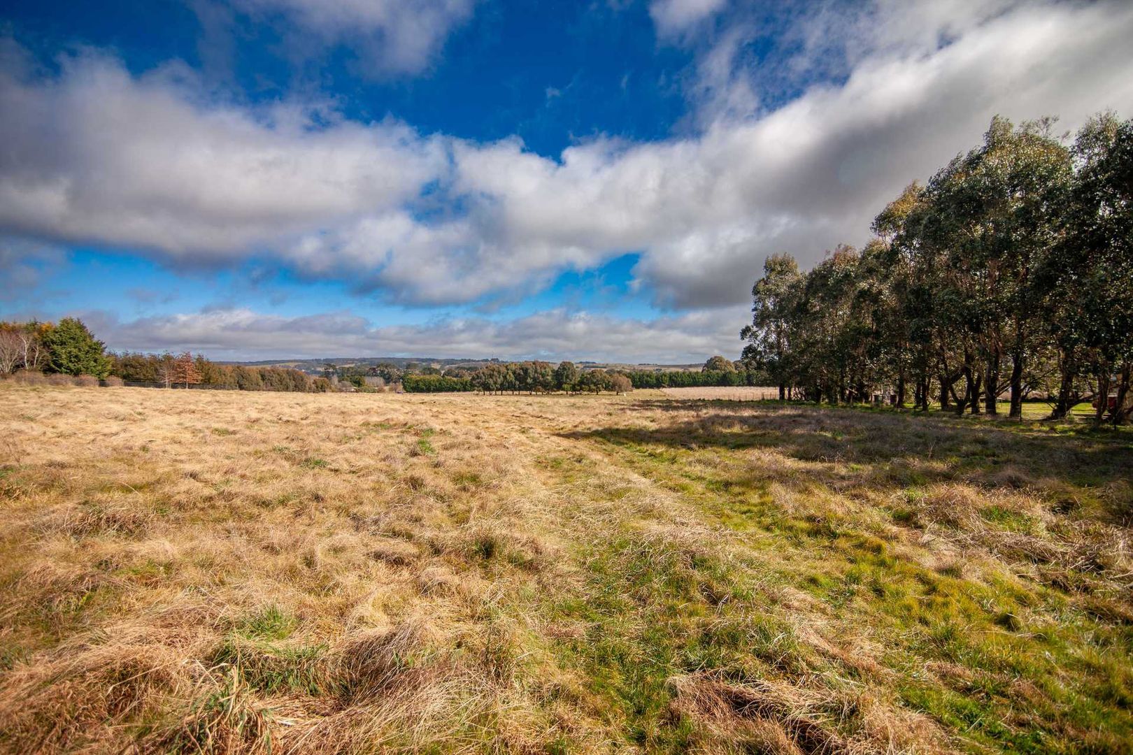 121 Reservoir Road, Crookwell NSW 2583, Image 2