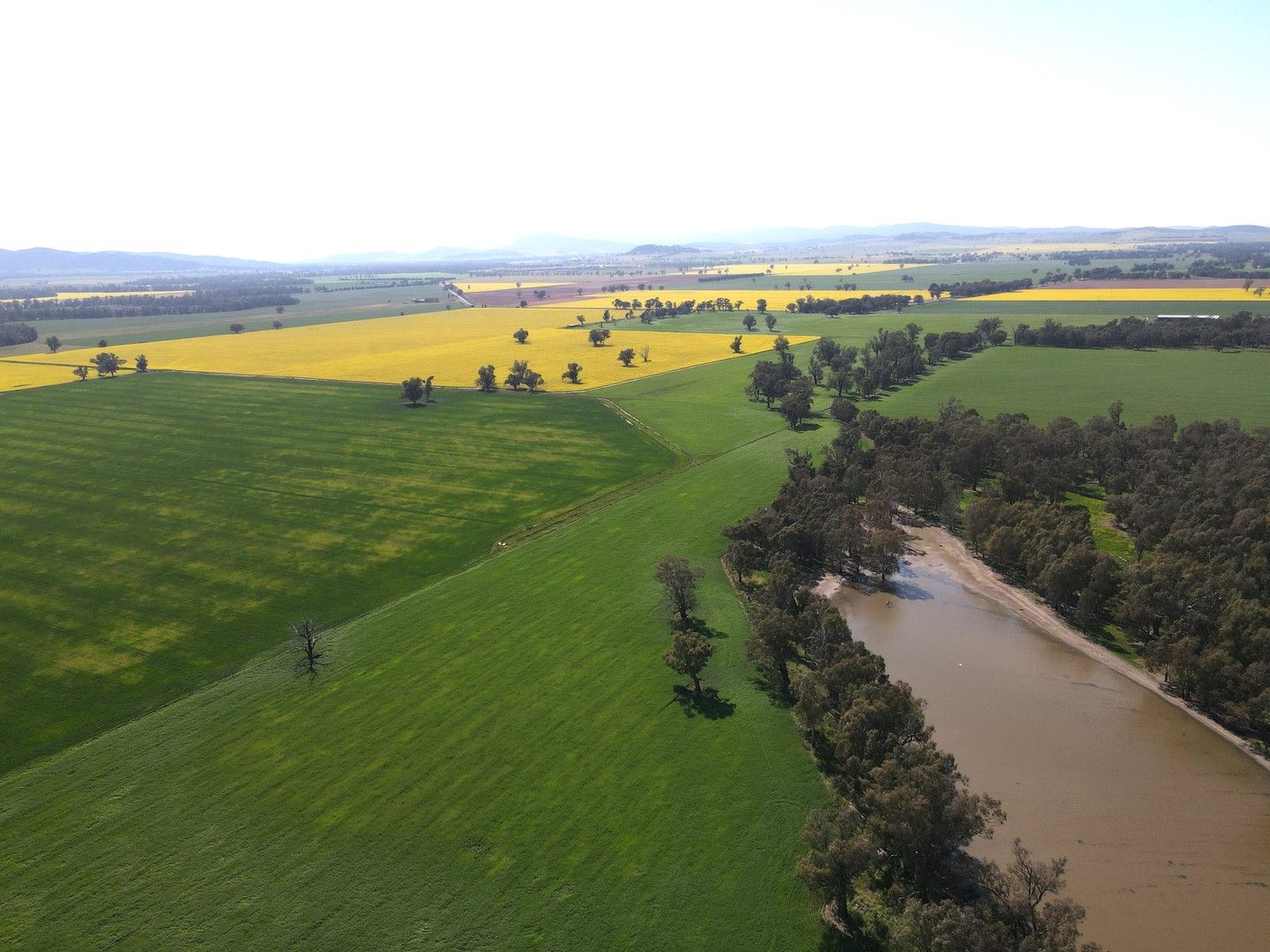 "Havlah"/564 Paytens Bridge Road, Eugowra NSW 2806 Mixed Farming