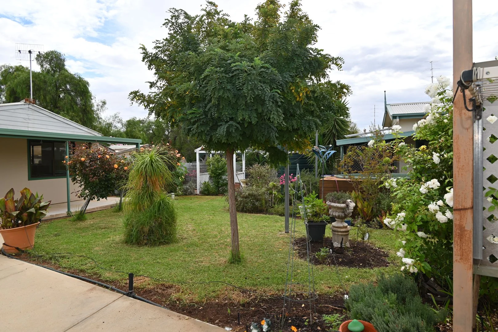 Additional image 16 of 6 Gouge Street, Morgan SA 5320