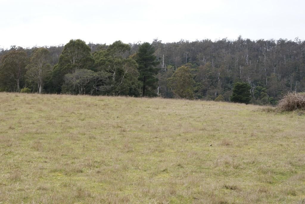 0 Bogan Road, Golden Valley TAS 7304, Image 2