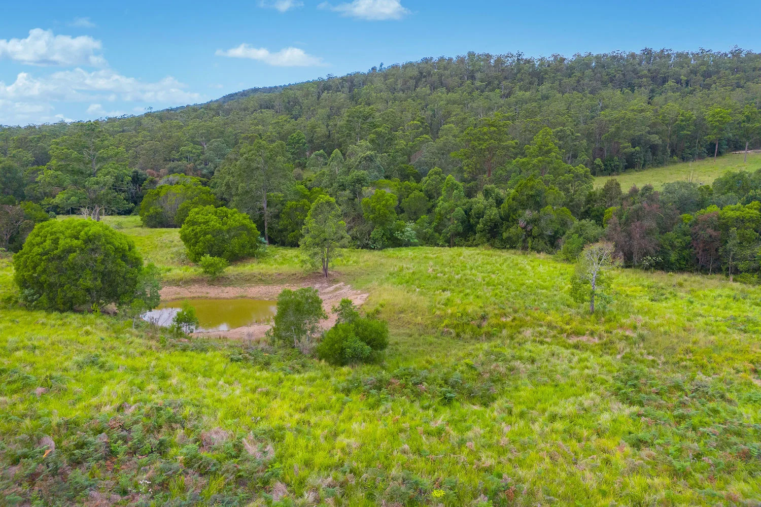 Additional image 10 of Lot 120/1085 Rollands Plains Road, Ballengarra NSW 2441