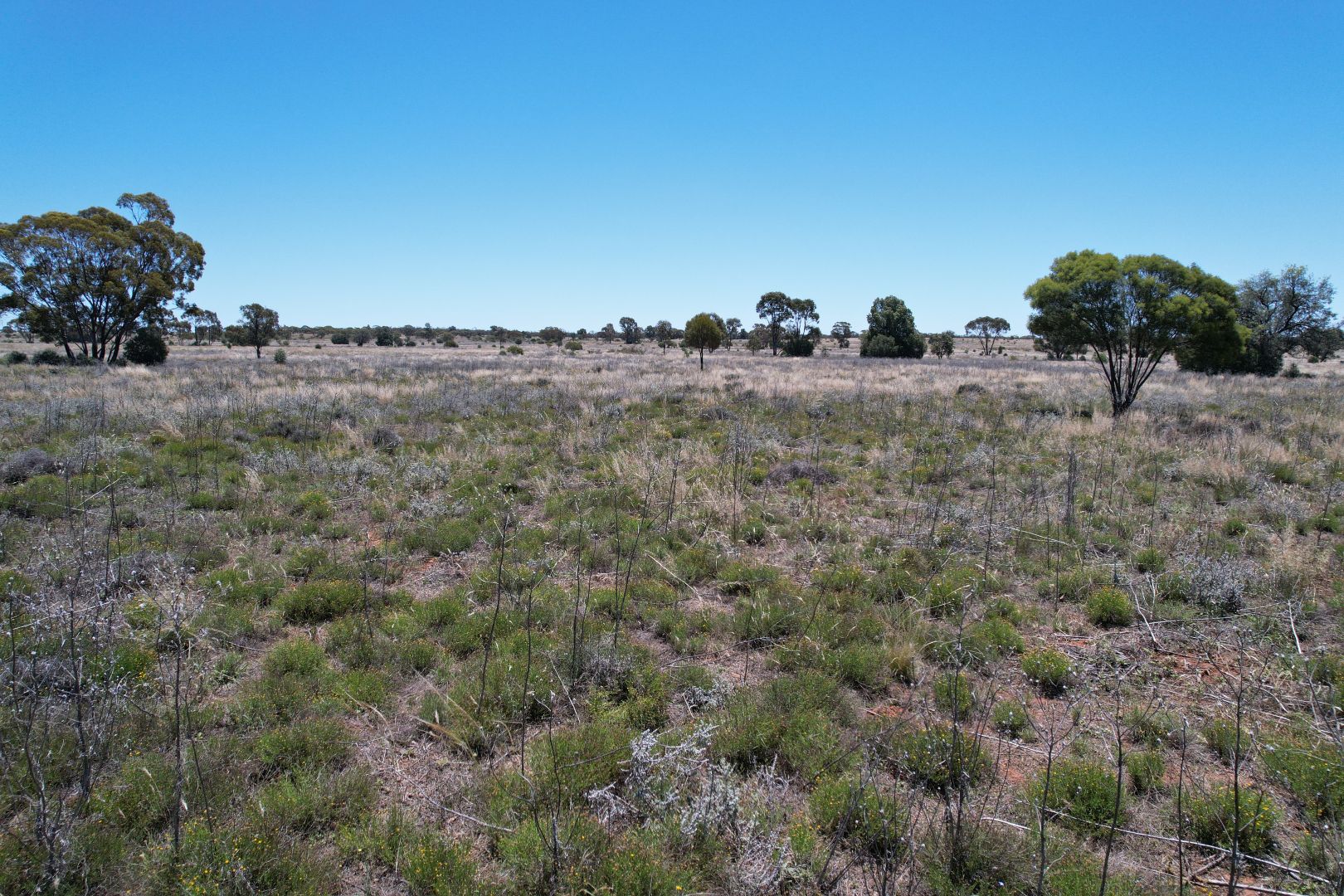 Part Allandoon Peisley Road, Nyngan NSW 2825, Image 1