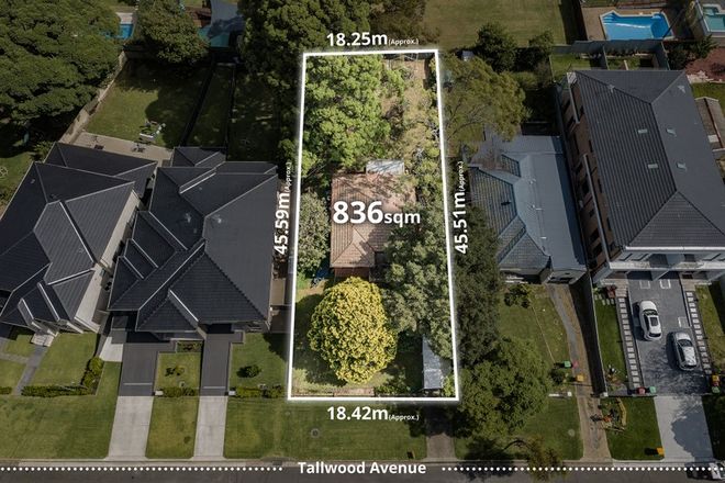 Picture of 8 Tallwood Avenue, EASTWOOD NSW 2122