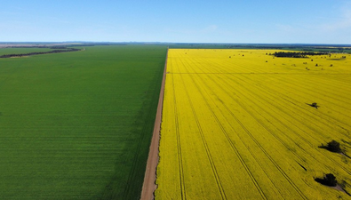 Picture of Back Creek NSW 2671, BACK CREEK NSW 2671