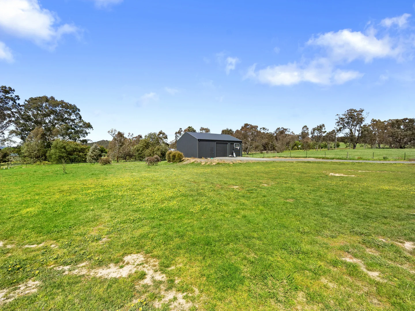 Image 21