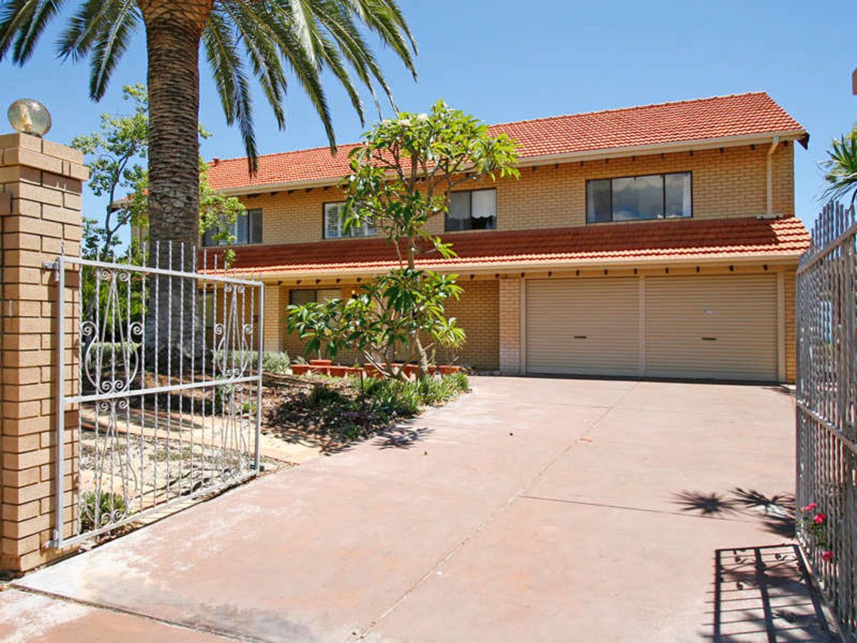 10 Dowel Court, Ocean Reef WA 6027 House For Rent 750 Domain