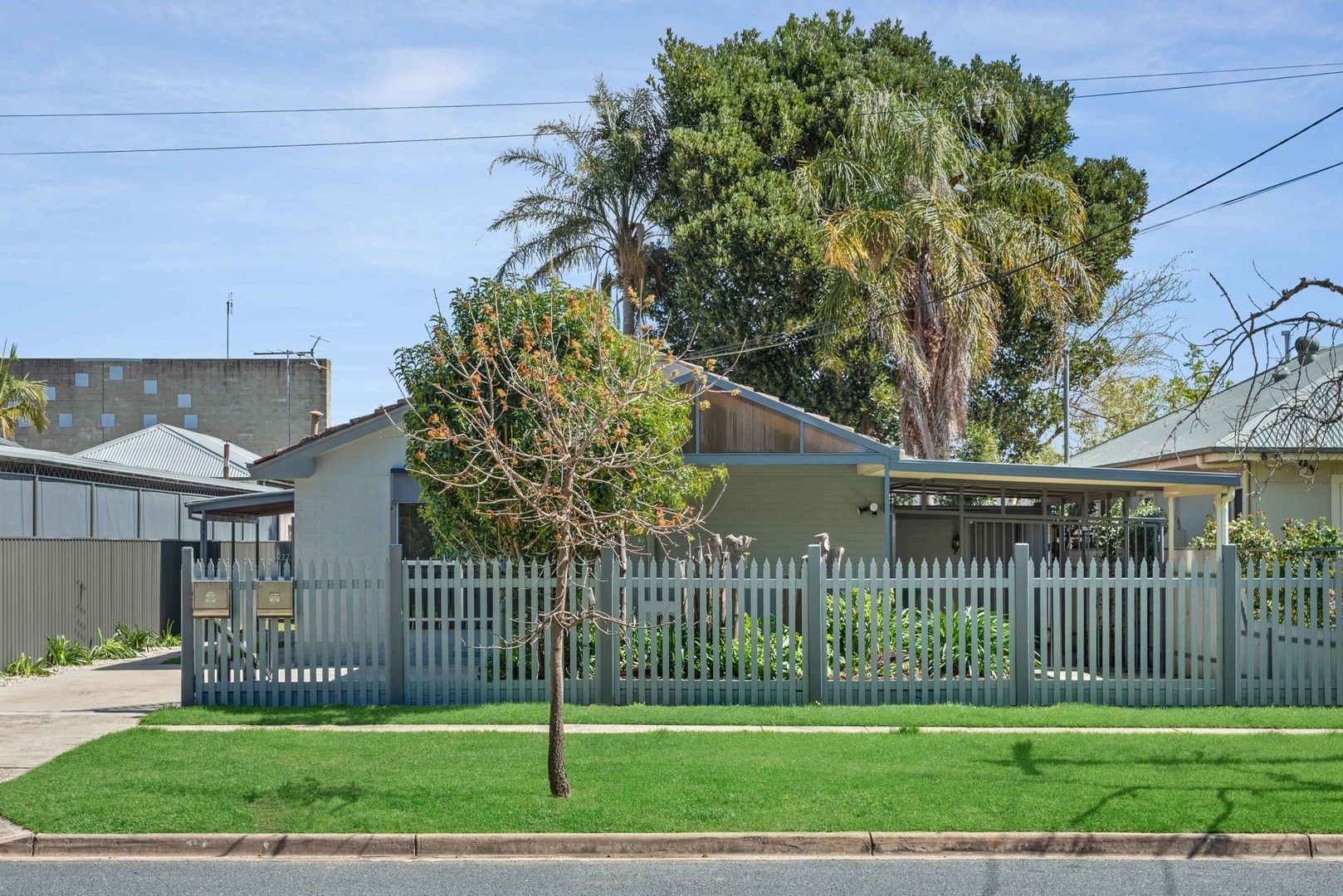 1/317 Olive Street, South Albury NSW 2640 Apartment For Rent Domain