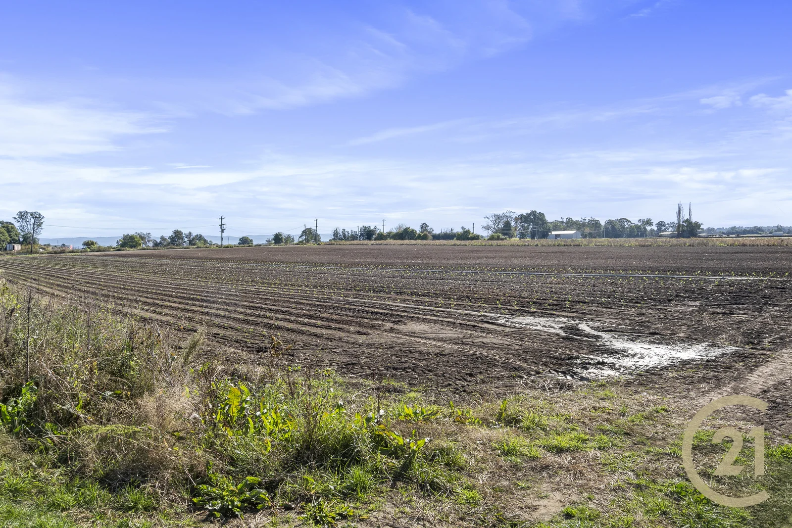 Image 17