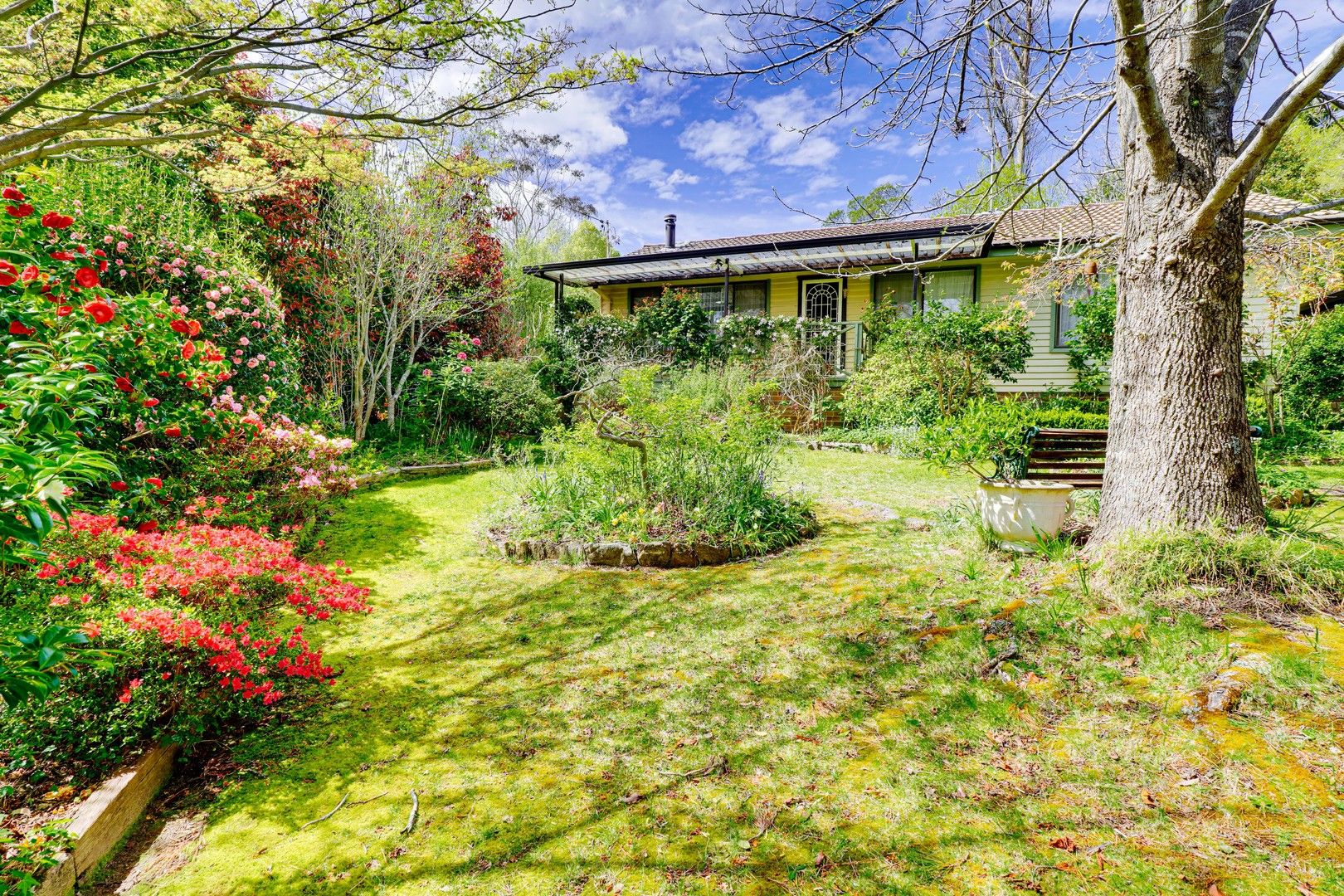 56 Shortland Street, Wentworth Falls NSW 2782, Image 1