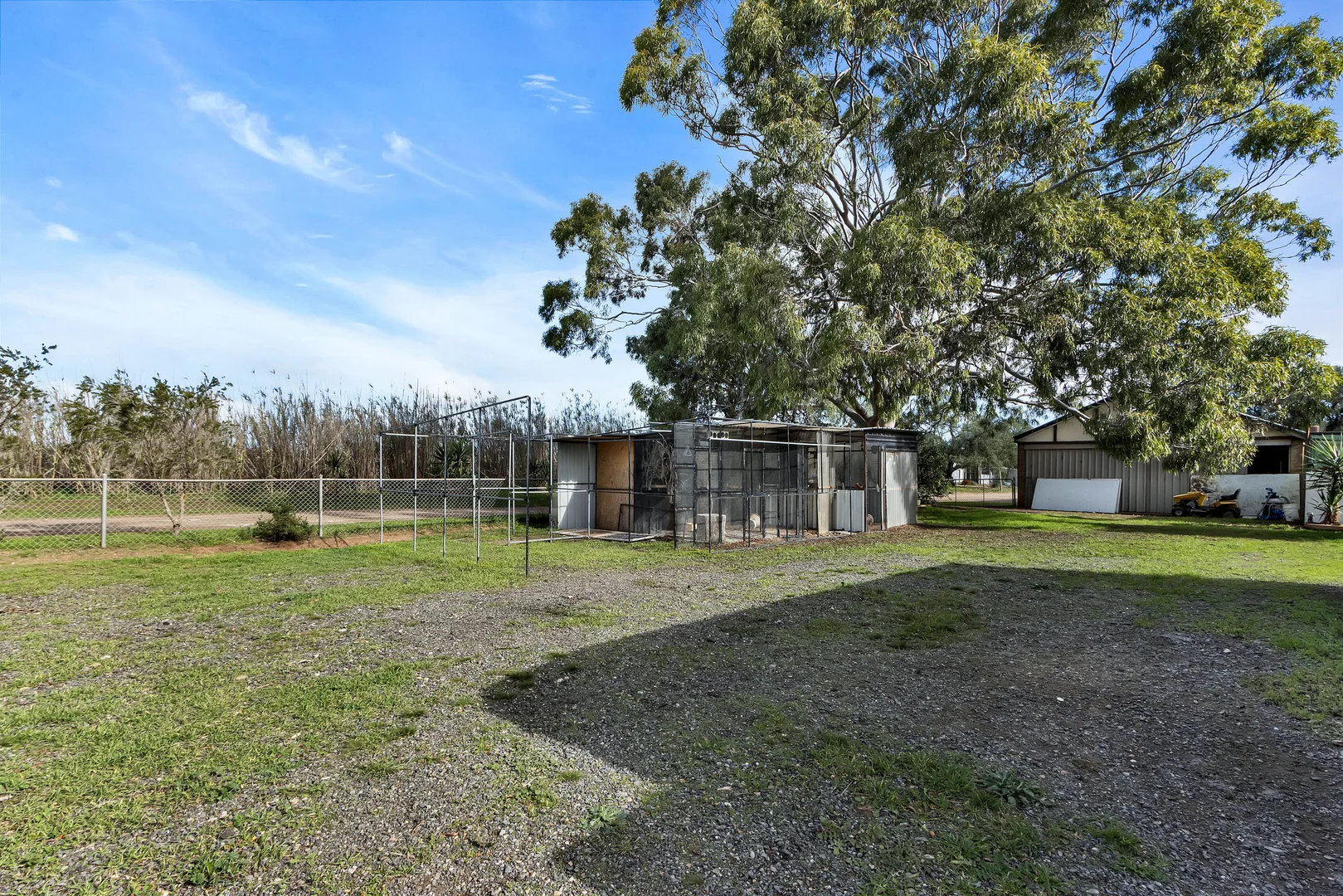 Image 29