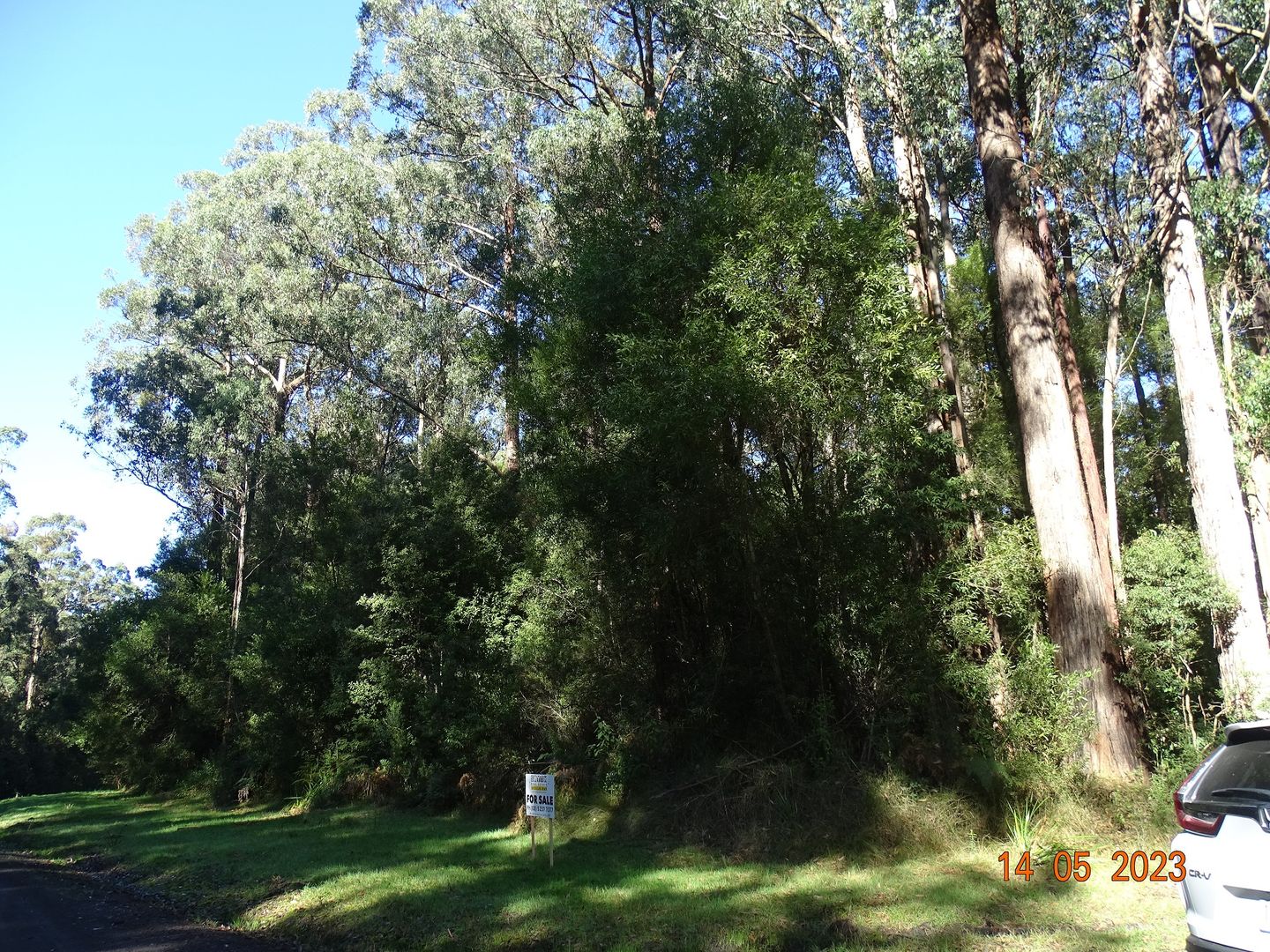 450 Morris Track, Lavers Hill VIC 3238, Image 2