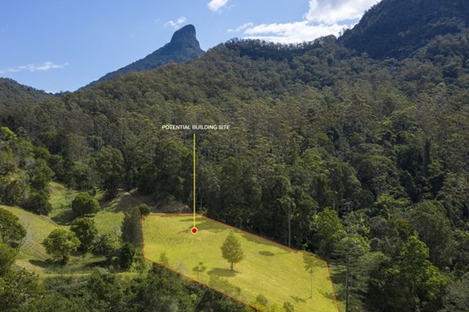 Picture of 501 Mount Warning Road, MOUNT WARNING NSW 2484