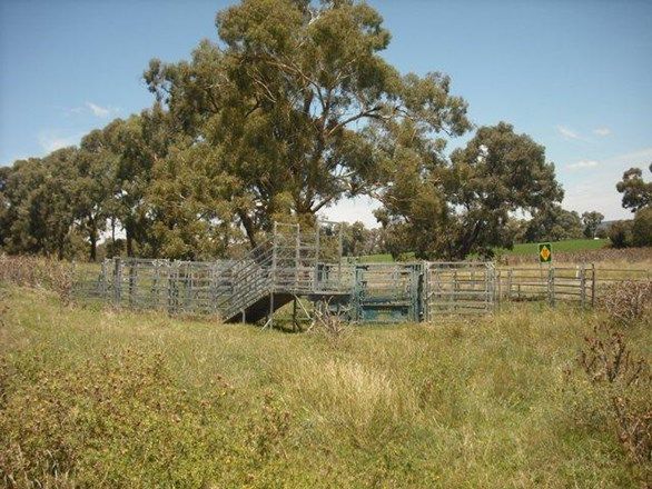 2174 Murringo Road, MURRINGO NSW 2586, Image 1