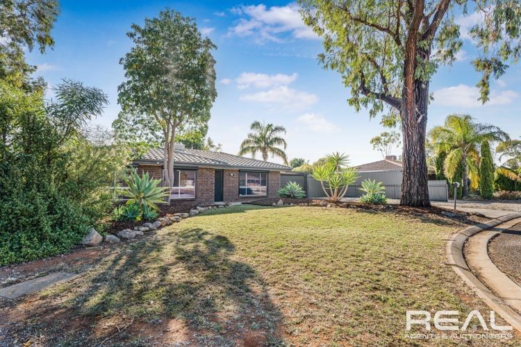 8 Rustic Grove, Andrews Farm SA 5114, Image 2